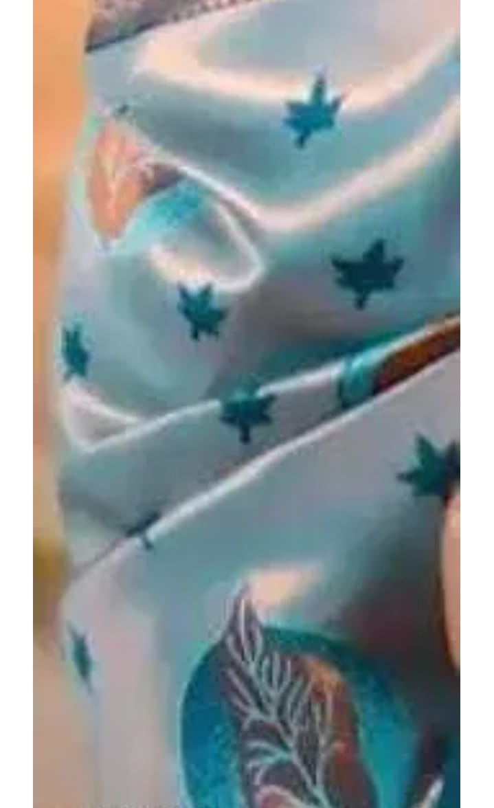 Blue Banarasi Silk Saree